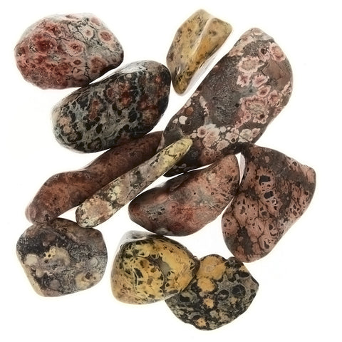 TUMBLED GEMSTONE LEOPARDSKIN JASPER (1 LB)