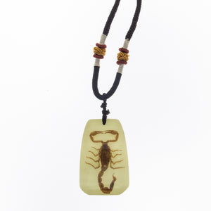 REAL Scorpion Necklace