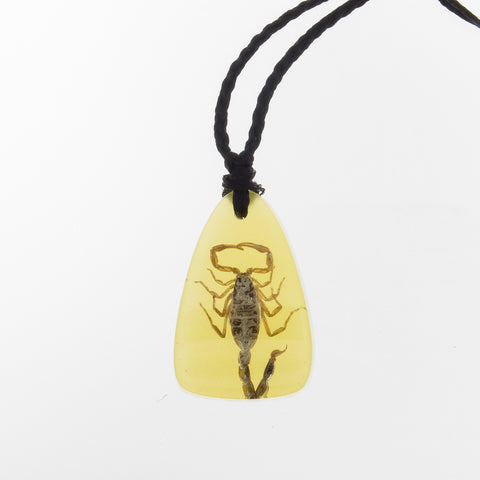 REAL Scorpion Necklace